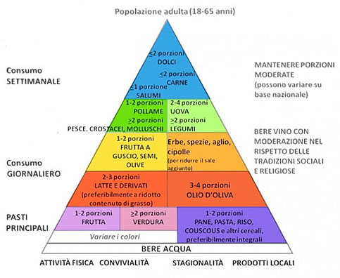 DIETA BASCULA CANAL SUR