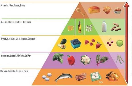 DIETA DEPORTISTA PERDER GRASA